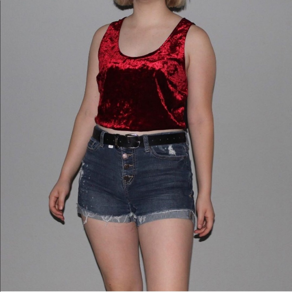 Band of Gypsies Red Velvet Crop Top
